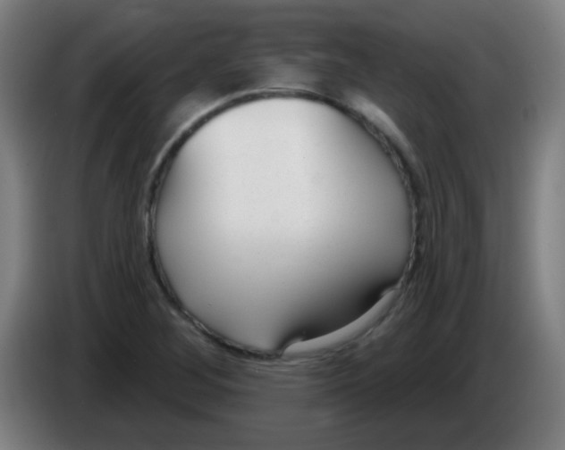 X0000086251268200704261929