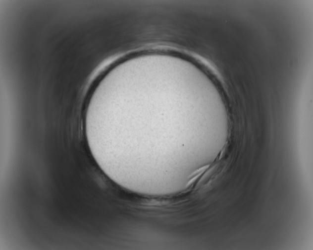X0000086251271200704261929