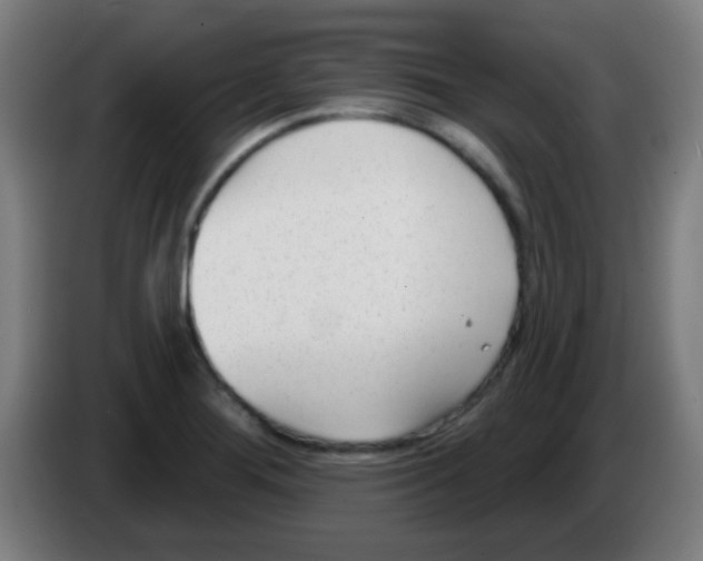 X0000086251276200704261929