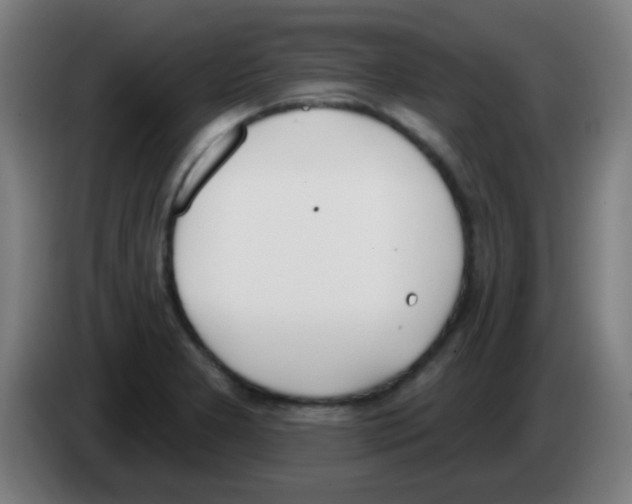 X0000086251277200704261928