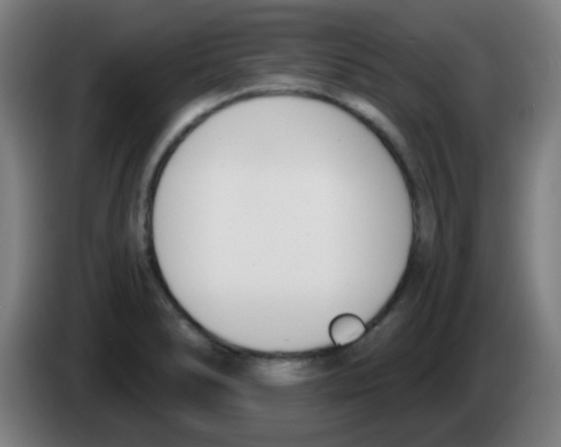 X0000086251278200704261928
