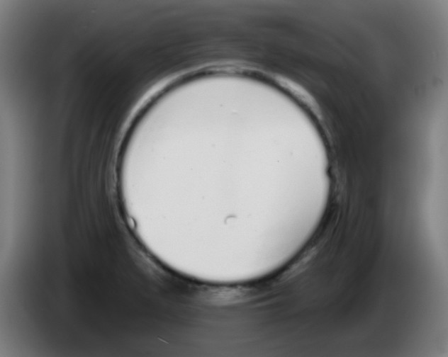 X0000086251279200704261928