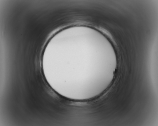 X0000086251280200704261928