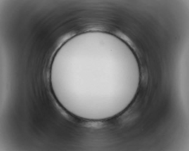 X0000086251282200704261928