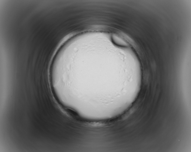 X0000086251283200704261928