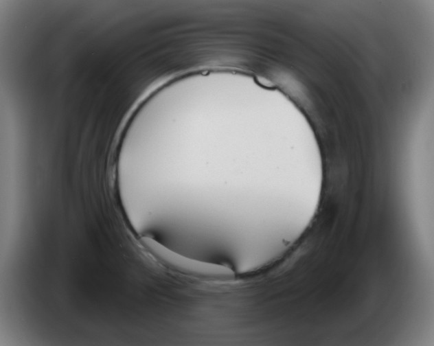 X0000086251284200704261928