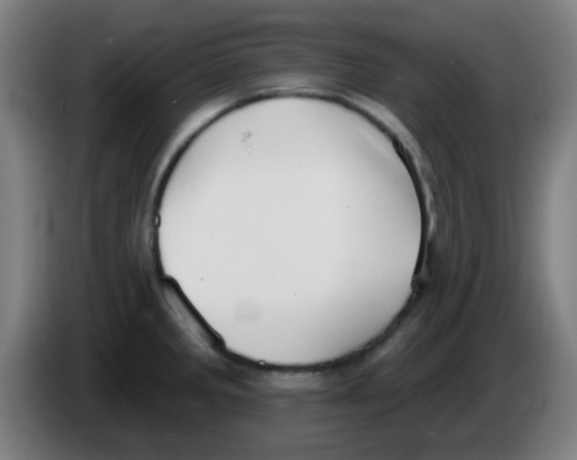 X0000086251285200704261928