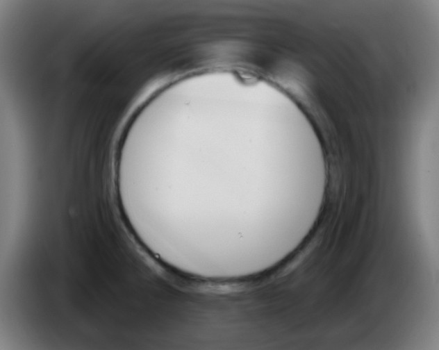 X0000086251286200704261928