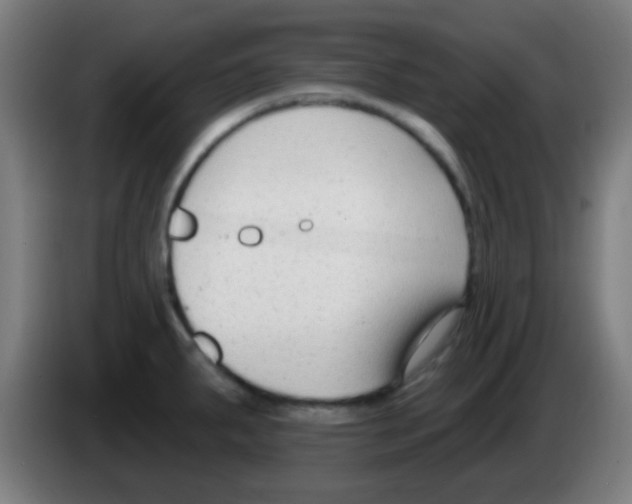 X0000086251287200704261928