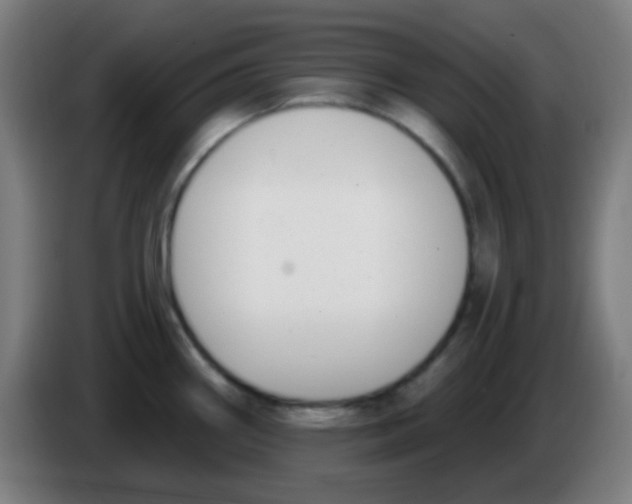 X0000086251290200704261928