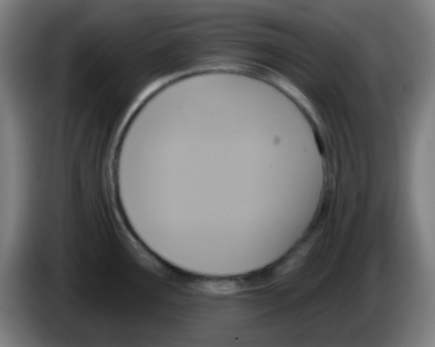 X0000086251291200704261928