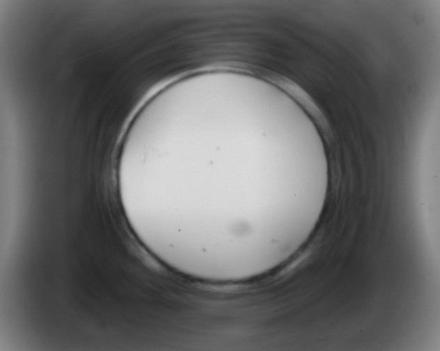 X0000086251292200704261928
