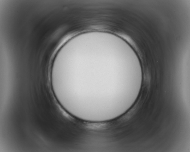 X0000086251294200704261928
