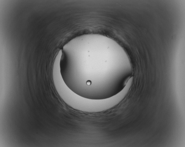 X0000086251298200704261928