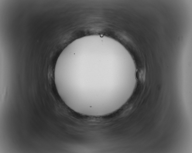 X0000086251299200704261928