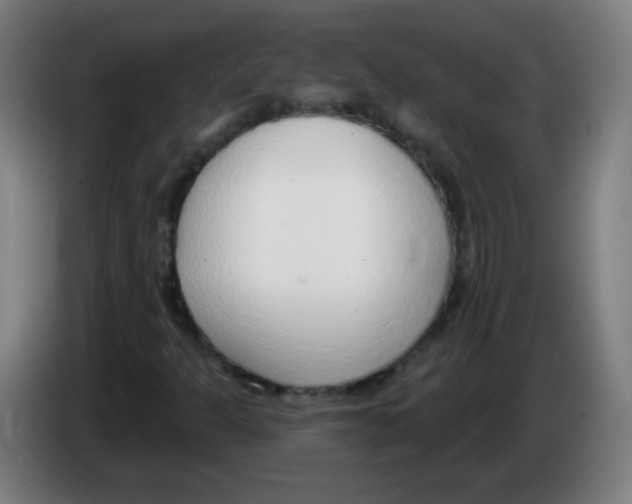X0000086251301200704261928