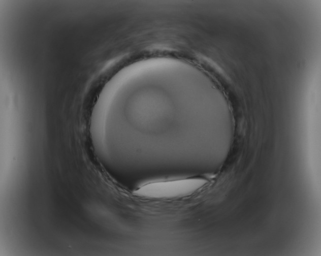 X0000086251303200704261928