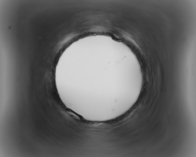 X0000086251304200704261928