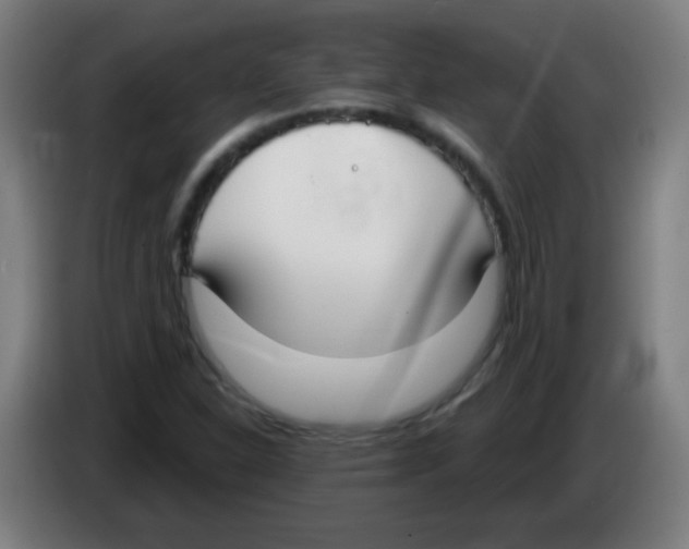 X0000086251310200704261928