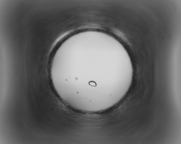 X0000086251312200704261928