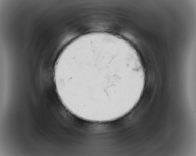 X0000086251314200704261928