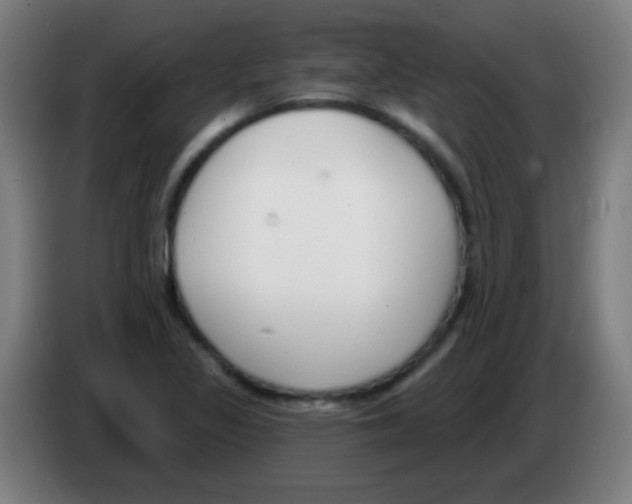 X0000086251317200704261928