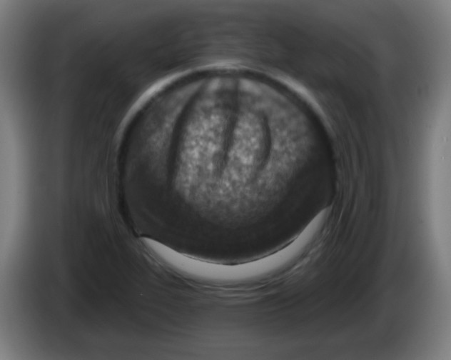 X0000086251319200704261928