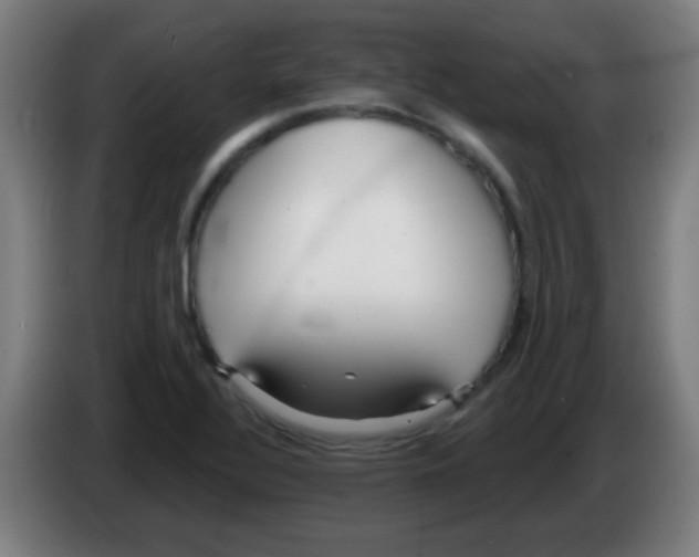 X0000086251320200704261928