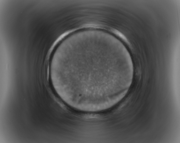 X0000086251323200704261928