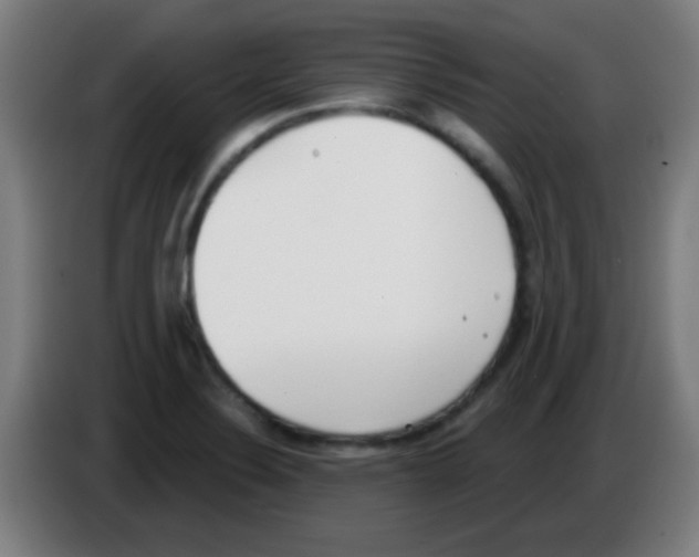 X0000086251324200704261928