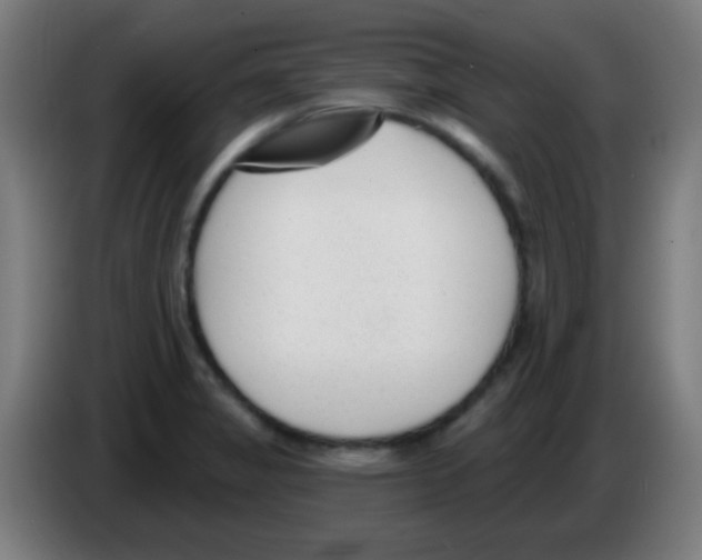 X0000086251325200704261928