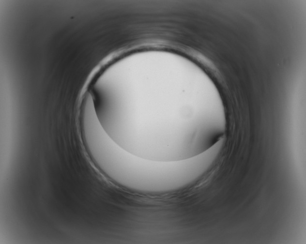 X0000086251326200704261928