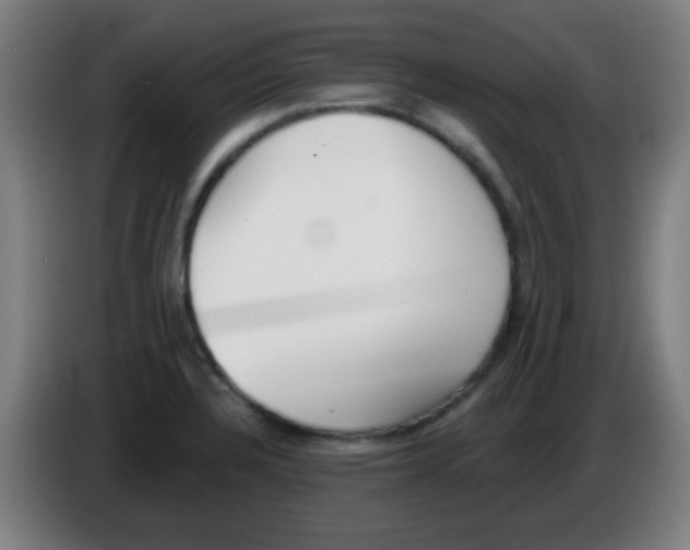 X0000086251328200704261928