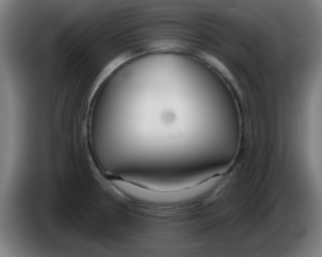 X0000086251330200704261928