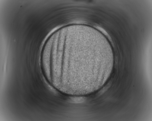 X0000086251331200704261928