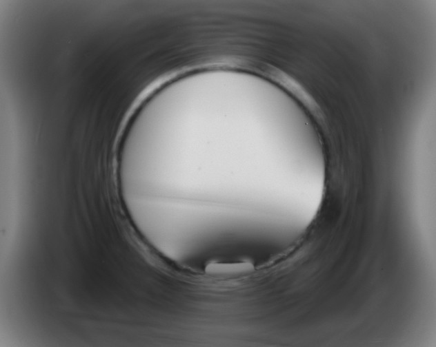 X0000086251332200704261928