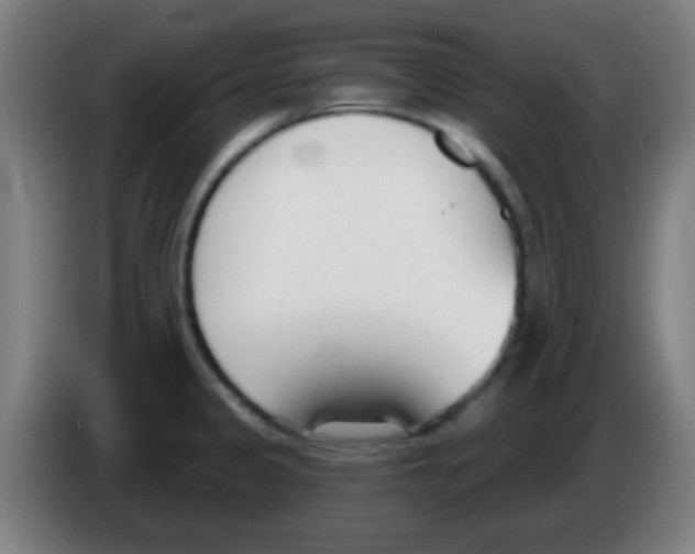 X0000086251333200704261928