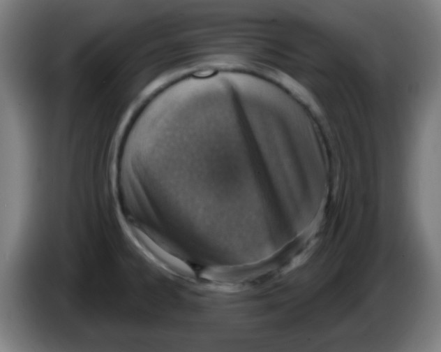 X0000086251334200704261928