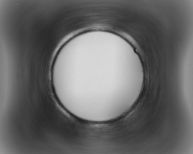 X0000086251335200704261928