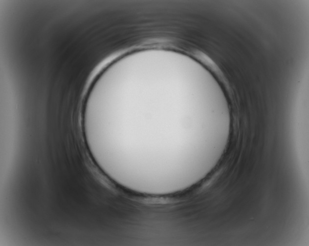 X0000086251336200704261928