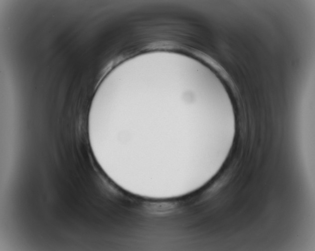 X0000086251337200704261928