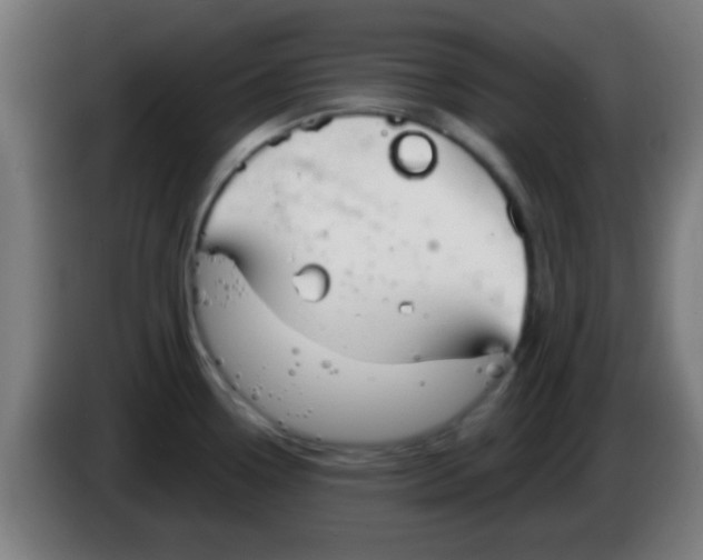 X0000086251338200704261928
