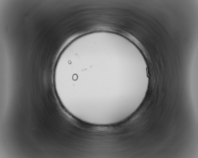 X0000086251339200704261928