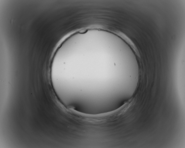 X0000086251340200704261928