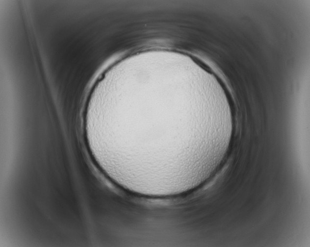 X0000086251341200704261928