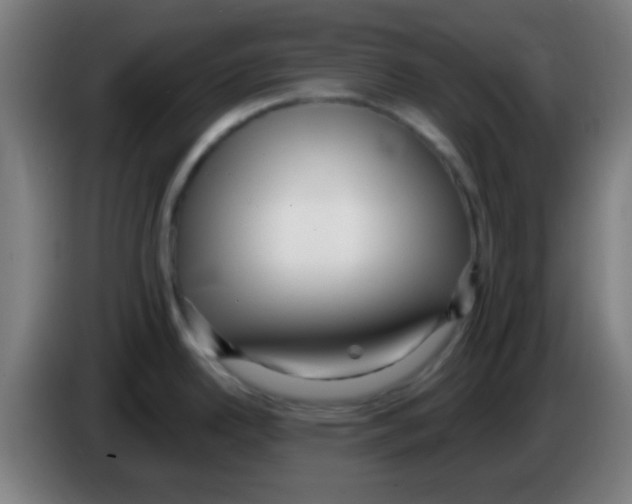 X0000086251342200704261928