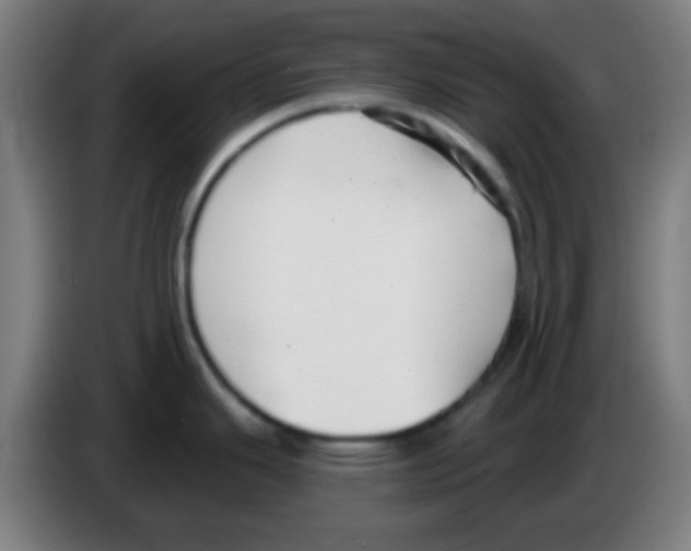 X0000086251343200704261928