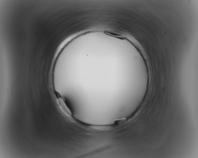 X0000086251344200704261928