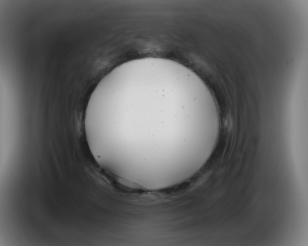 X0000086251348200704261928