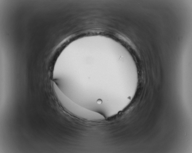 X0000086251352200704261928